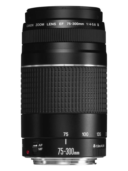 Canon EOS 2000D DSLR Camera + EF-S 18-55mm f/3.5-5.6 IS II Lens + EF 75-300mm f/4-5.6 III Lens + SB130 Bag + 16GB SD Memory Card