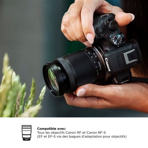 Canon EOS R10 + RF-S 18-150mm f/3.5-6.3 IS STM Hybrid Camera