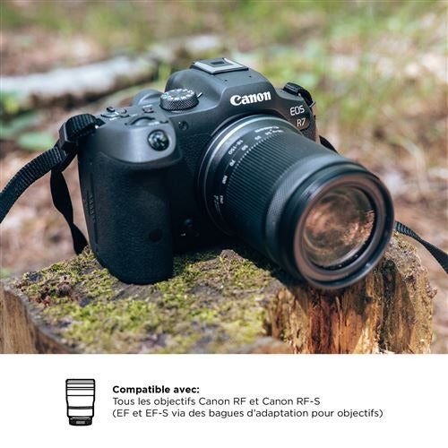 Canon EOS R7 + RF-S 18-150mm f/3.5-6.3 IS STM Hybrid Camera